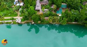 loboc