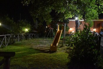 il sentiero degli ulivi
