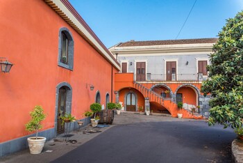 il sentiero degli ulivi