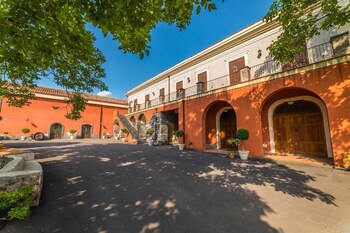 il sentiero degli ulivi