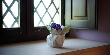 il sentiero degli ulivi