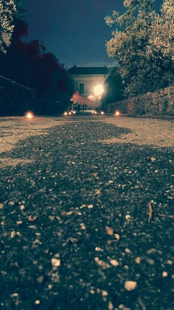 il sentiero degli ulivi