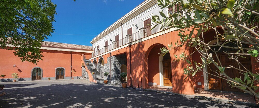 il sentiero degli ulivi