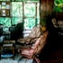 amazon tupana jungle lodge