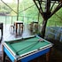 amazon tupana jungle lodge