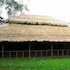 amazon tupana jungle lodge