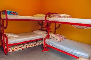 lakeside backpackers