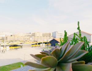 o poboa guesthouse