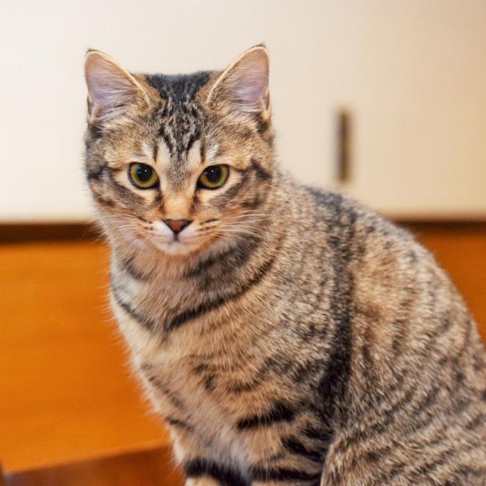 kuramayama kogen guest house urara