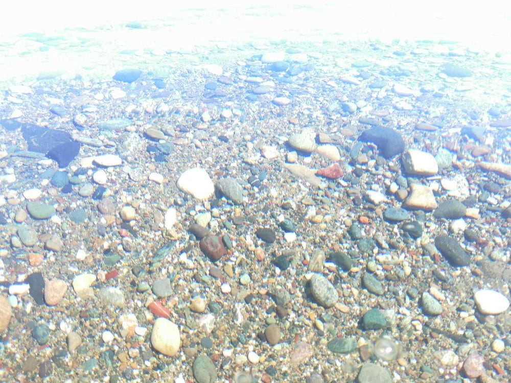 ayvacik