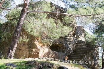 ayvacik