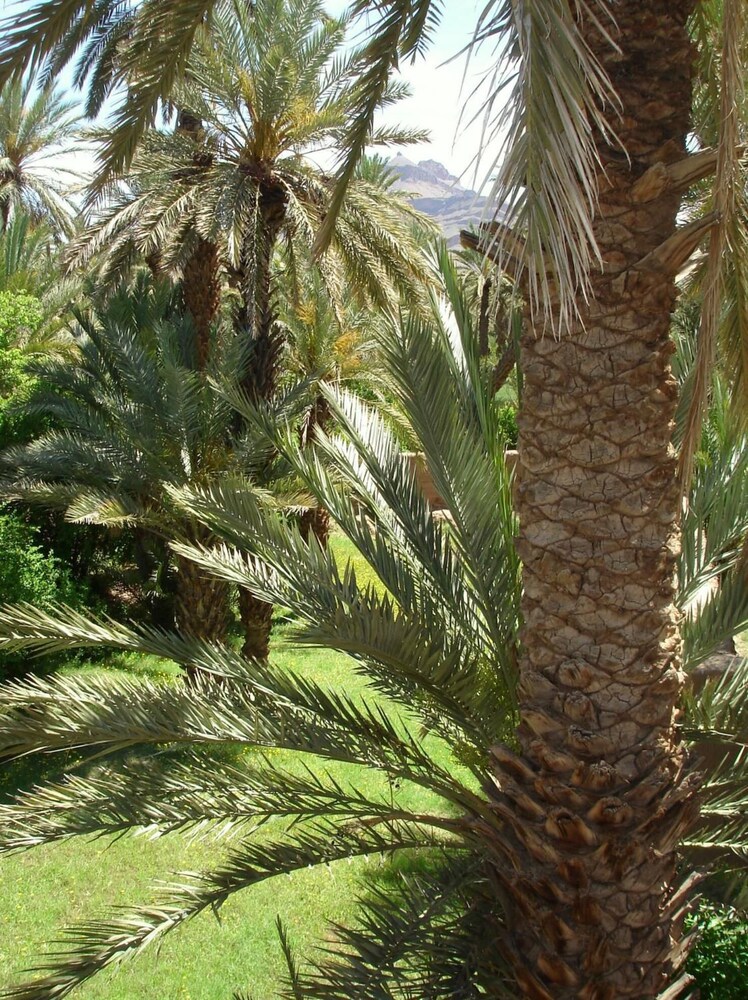 dar jnane la maison du jardin