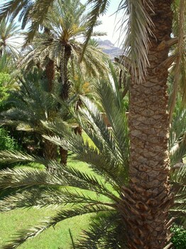 dar jnane la maison du jardin
