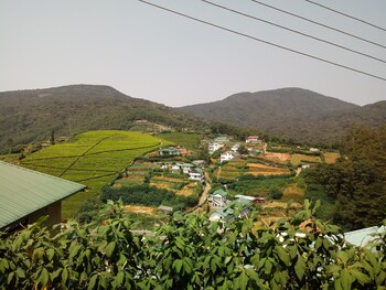 mount cottage