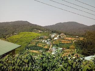 mount cottage