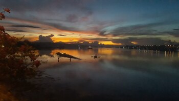 verano guest house bohol