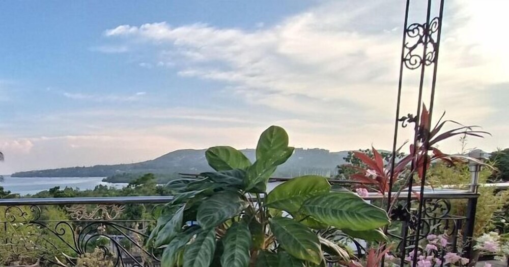 verano guest house bohol