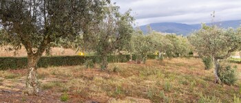 Quinta Do Chao Da Vinha,Seia>>Carragozela,3 star