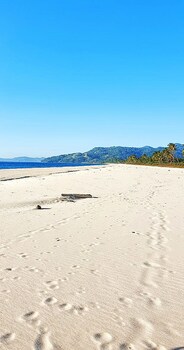 san vicente