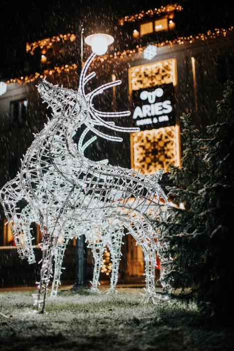 aries hotel and spa wisla