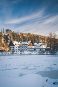 aries hotel and spa wisla
