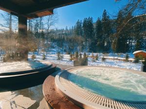 aries hotel and spa wisla
