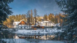 aries hotel and spa wisla