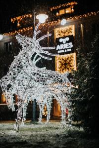 aries hotel and spa wisla