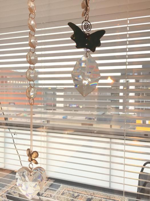 the harbour apartments