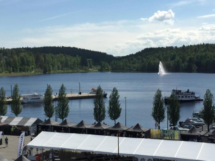 the harbour apartments