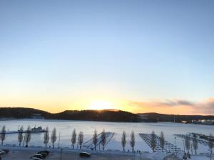 the harbour apartments