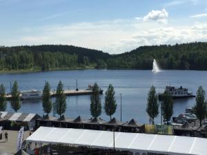 the harbour apartments