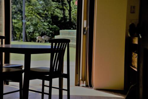 mountain home lodge in deer park