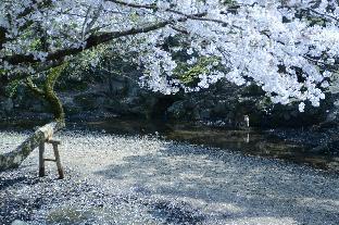 mountain home lodge in deer park