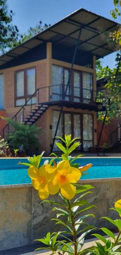 breezy lake eco friendly cabanas yala