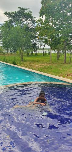 breezy lake eco friendly cabanas yala