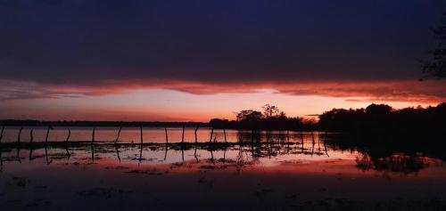 breezy lake eco friendly cabanas yala