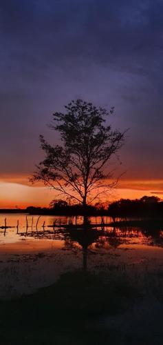 breezy lake eco friendly cabanas yala