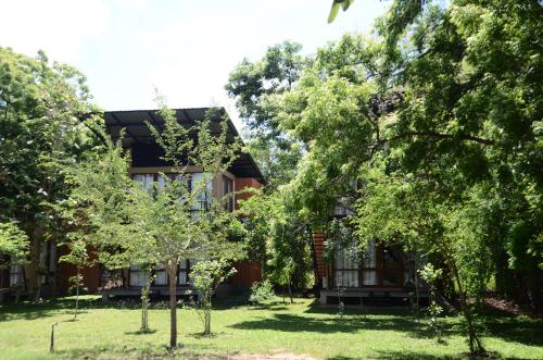 breezy lake eco friendly cabanas yala