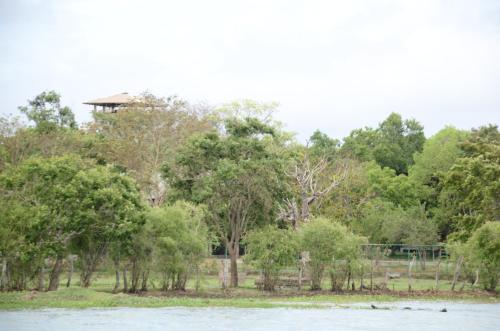 breezy lake eco friendly cabanas yala