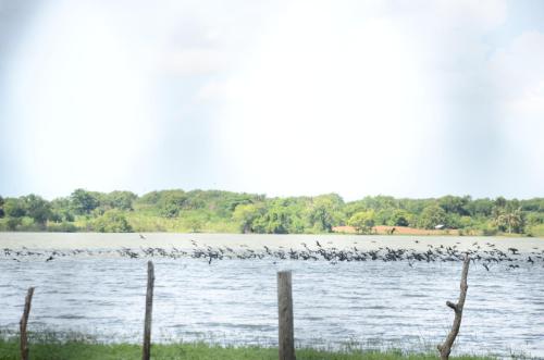 breezy lake eco friendly cabanas yala
