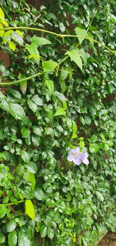 breezy lake eco friendly cabanas yala