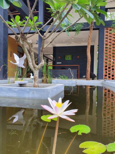 breezy lake eco friendly cabanas yala