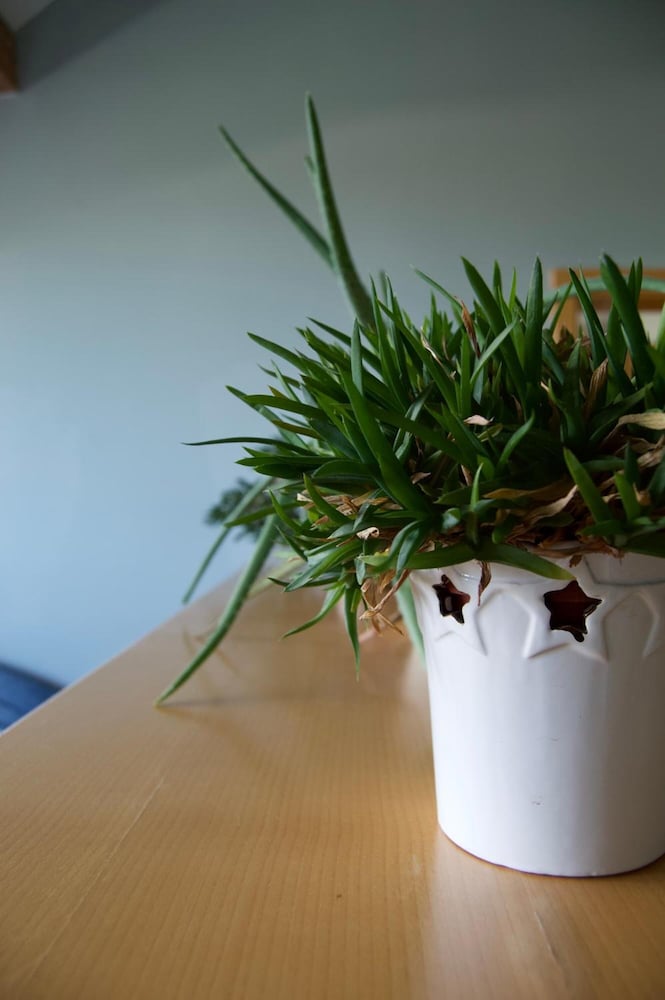 rudi hiti guest house