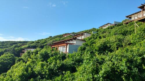 white pearl resorts