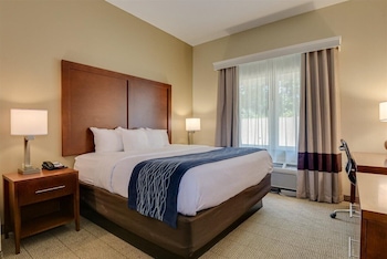 comfort inn and suites augusta fort eisenhower area