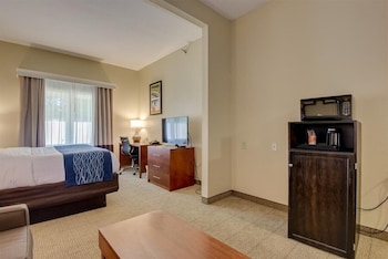 comfort inn and suites augusta fort eisenhower area