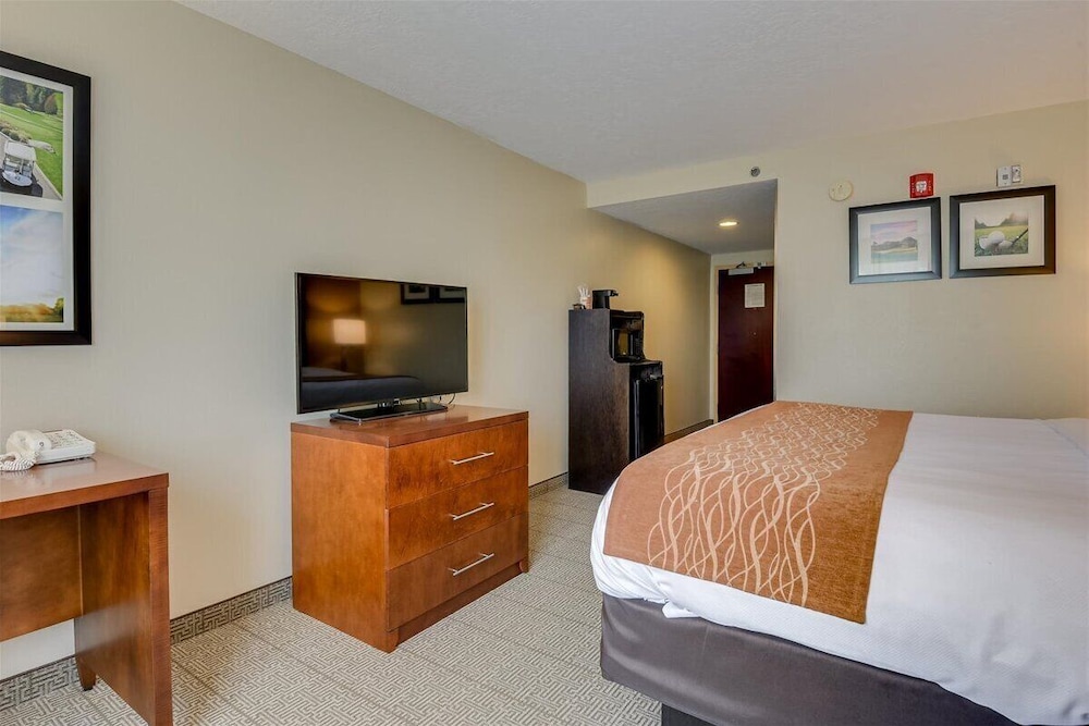 comfort inn and suites augusta fort eisenhower area