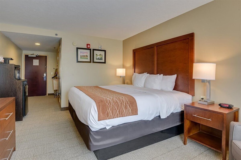 comfort inn and suites augusta fort eisenhower area