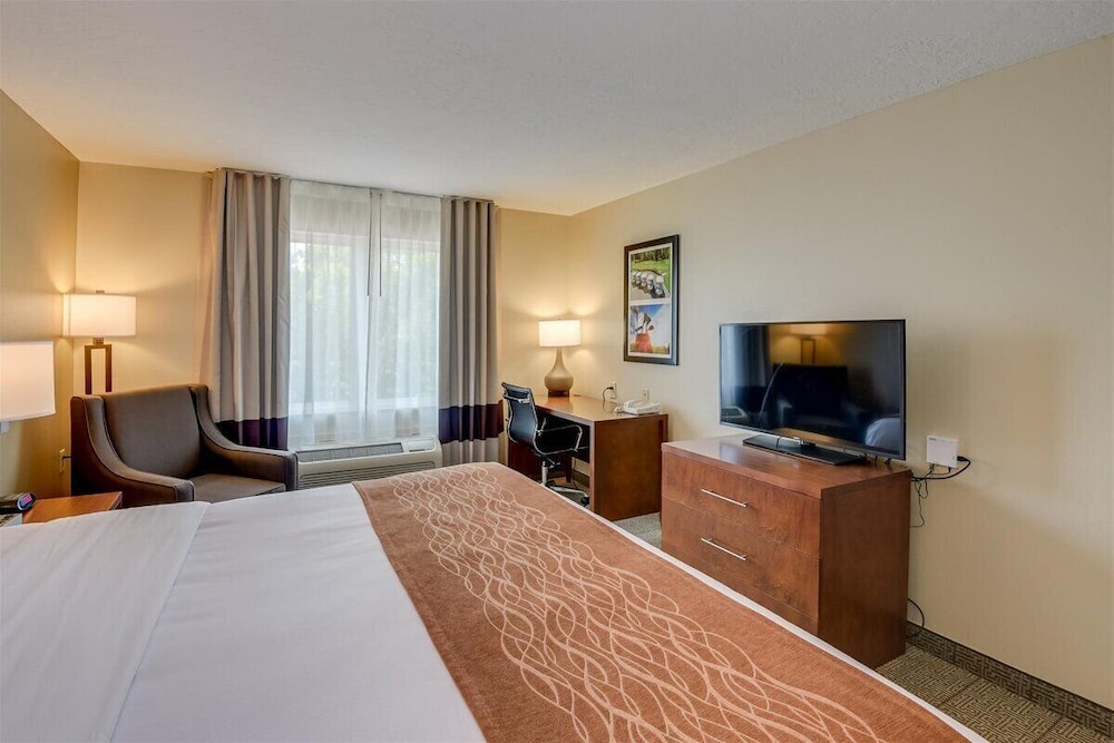 comfort inn and suites augusta fort eisenhower area